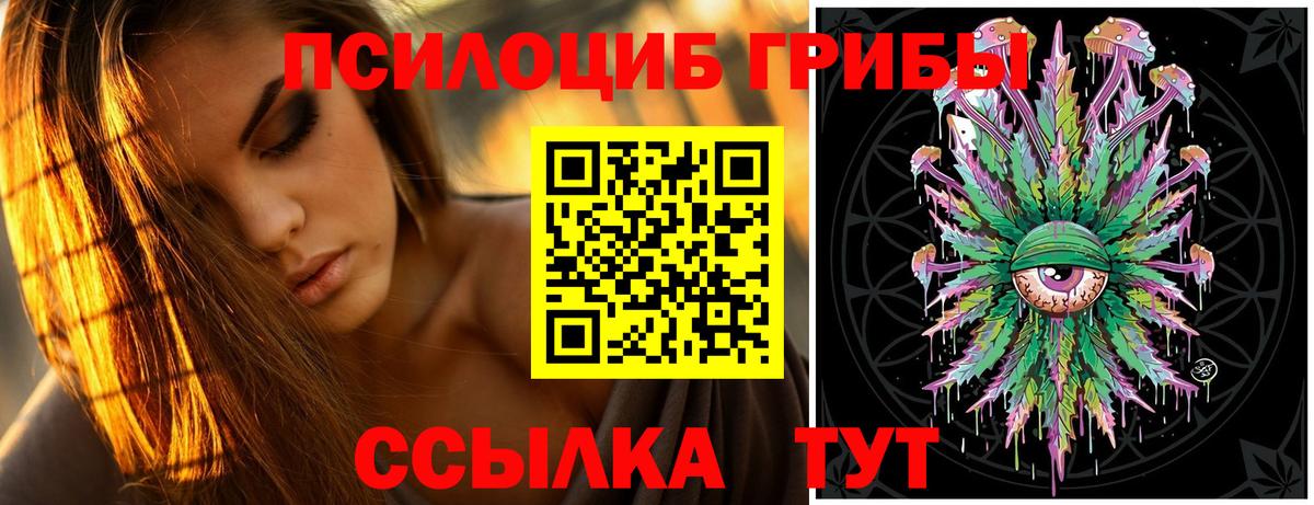 Псилоцибиновые грибы прущие грибы Дедовск